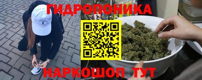 твердый Будённовск