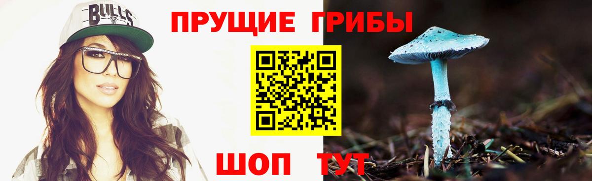 Псилоцибиновые грибы мухоморы  Вход с VPN  магазин продажи наркотиков  Туймазы 